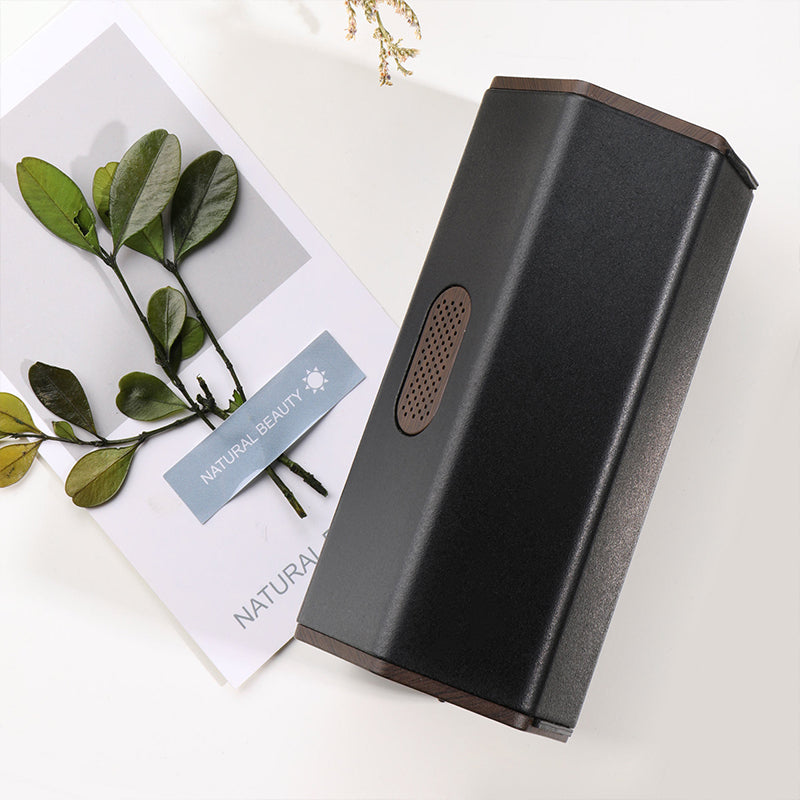 Odor removal vehicle air purifier