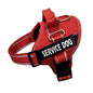 Personalization Of Pet Chest Strap