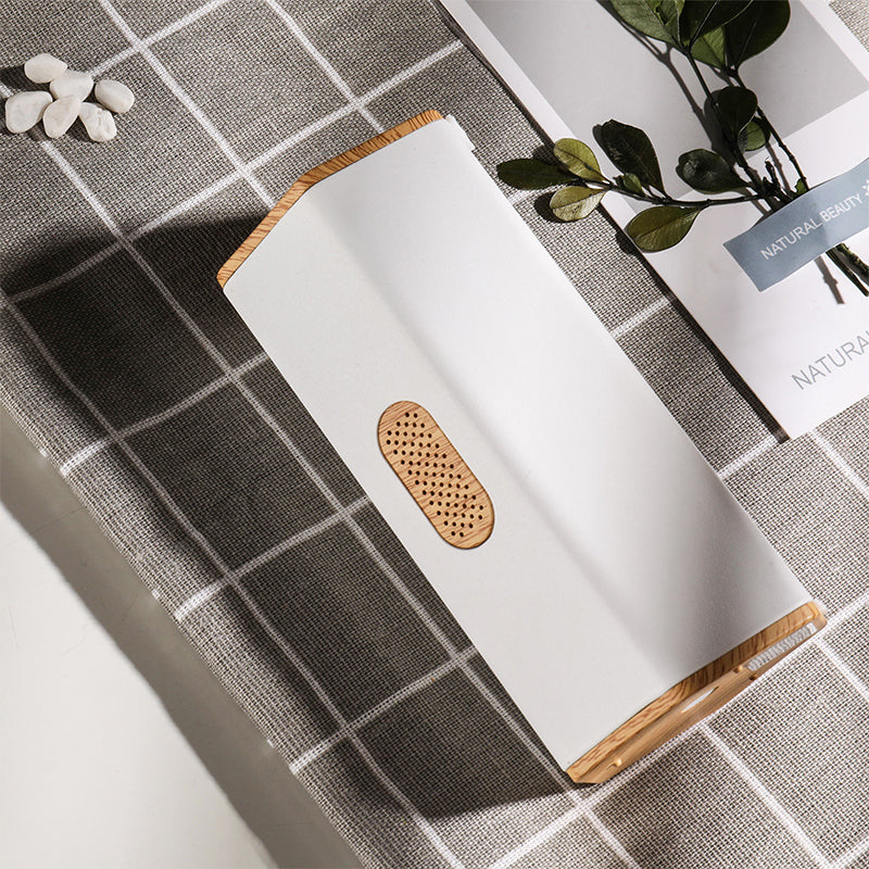 Odor removal vehicle air purifier