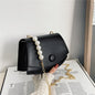 Popular Ladies Simple Chain Shoulder Purse Bag
