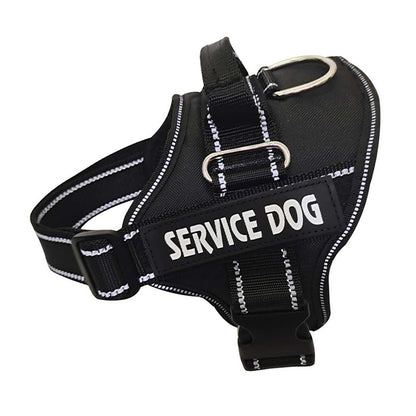 Personalization Of Pet Chest Strap