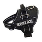 Personalization Of Pet Chest Strap