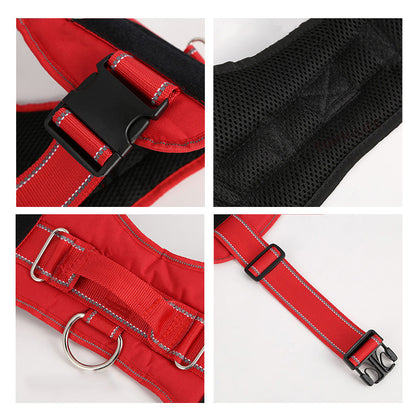 Personalization Of Pet Chest Strap