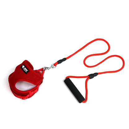 Dog leash collar