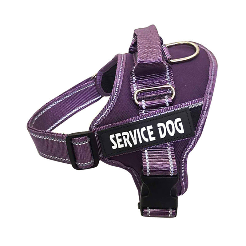 Personalization Of Pet Chest Strap